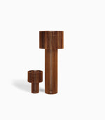 Load image into Gallery viewer, Leo sodales varius