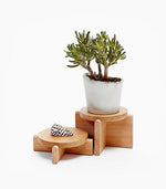 Load image into Gallery viewer, Amazing pen cup wood
